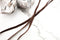 Dark Brown Elastic Trim Bra Strap Headband Lingerie with Plush Back 1/4 inch width x 10 yards